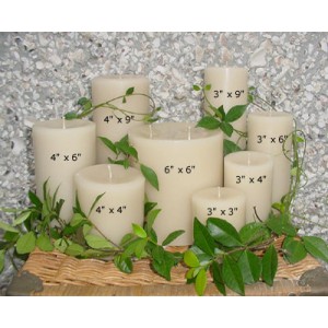 Shell Unscented Pillar