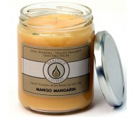 Mango Mandarin Classic Jar Candle
