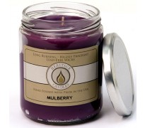 Mulberry Classic Jar Candle
