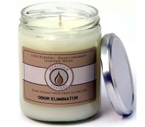 Odor Eliminator Classic Jar Candle 